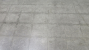 Polished Concrete for Facilities Directors: What Actually Determines How Long Your Floor Lasts