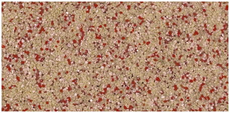 Floor Color Charts 24 Q28-15 swatch, Q28 Quartz