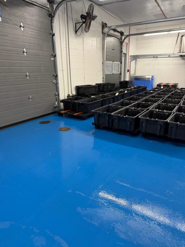 Blue floor by overhead doors with bins, Rocky Neck, Boston Fish Pier